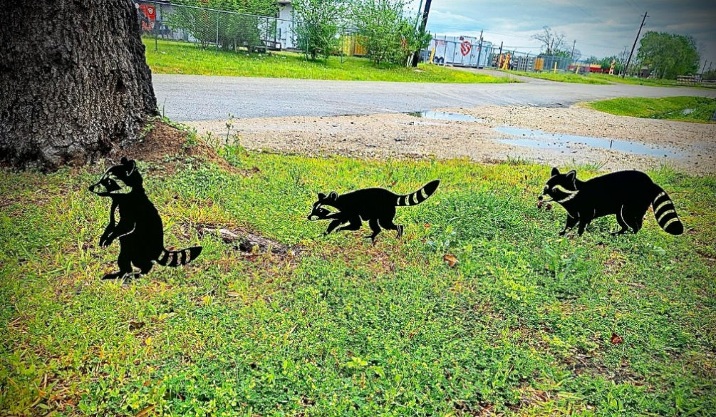 Garden Art - Raccoon Family 3 Pack