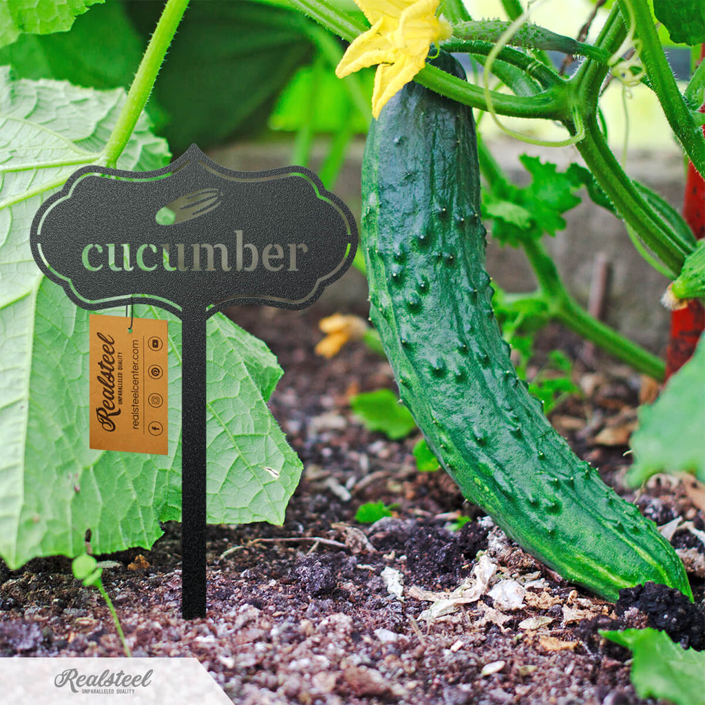Seed & Plant Markers