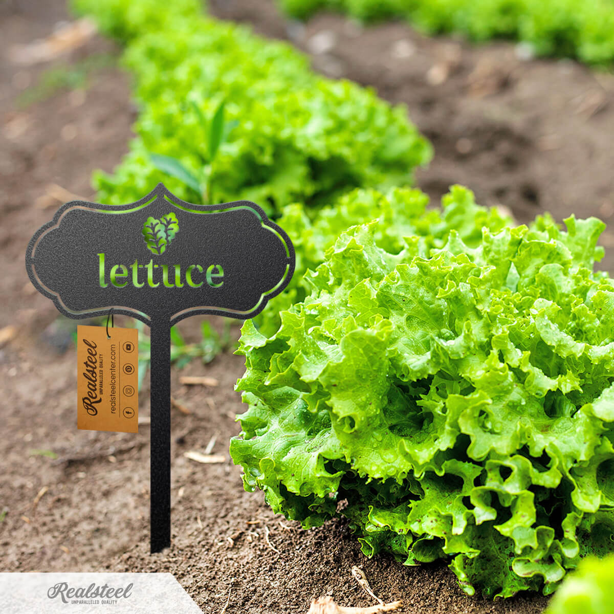 Seed & Plant Markers
