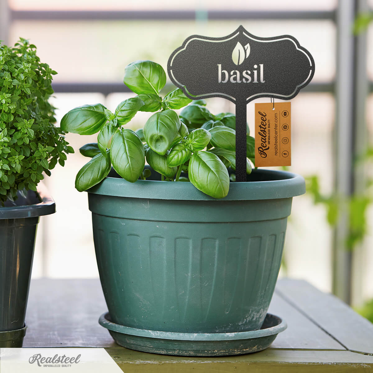 Seed & Plant Markers